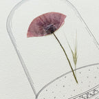 Affiche "L'Amour Véritable" - Herbier coquelicot séché - Format A4